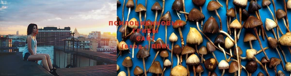 mix Новодвинск